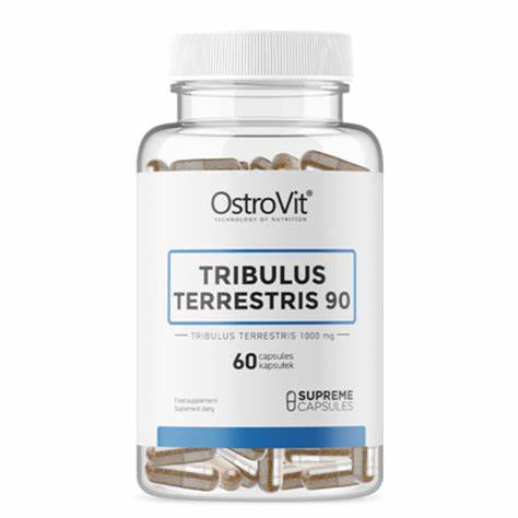 Tribulus Terrestris 90 60 tab Ostrovit