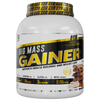 Big Mass Gainer Gsn 1 Kg - gymproprotein