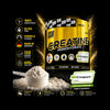 Creapure Monohydrate Creatine 600 G GSN