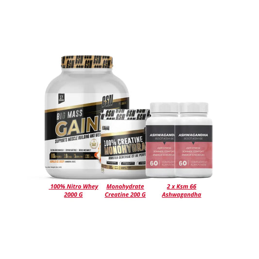 Gsn Big Mass Gainer Pack GSN