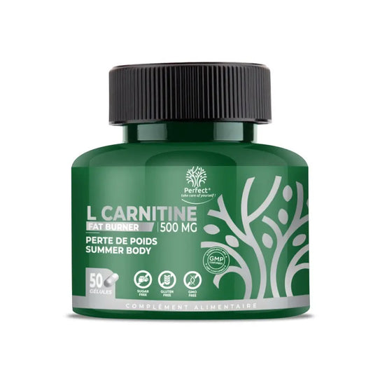 L Carnitine Fat Burner 50 Gélules Perfect Nutrition Perfect Nutrition