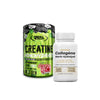 Monohydrate Micronized Creatine 500 G Real Pharm  Real Pharm