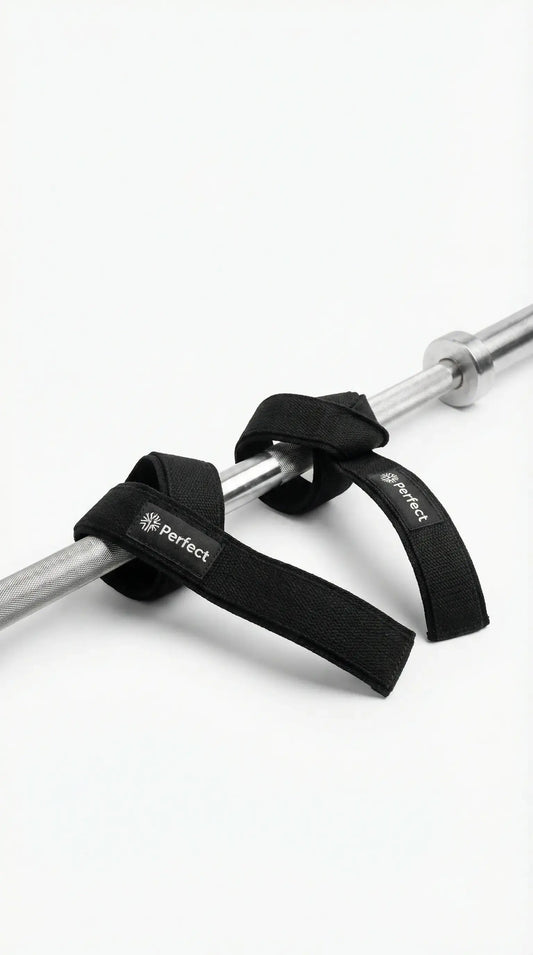 Straps De Musculation Perfect Nutrition Tunisie Perfect Nutrition Labs