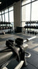 Straps De Musculation Perfect Nutrition Tunisie Perfect Nutrition Labs