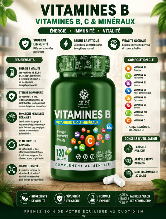 Vitamine B 120 Capsules Perfect Nutrition Perfect Nutrition