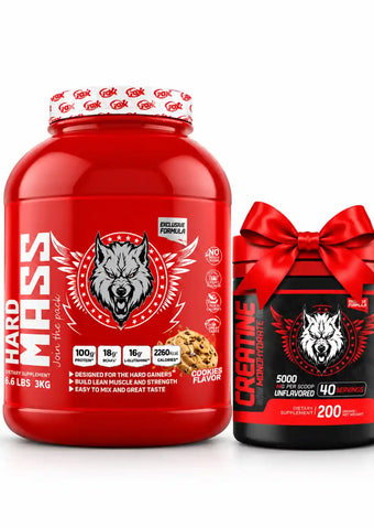 Mass Gainer