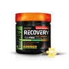Recovery Post Workout 480 G